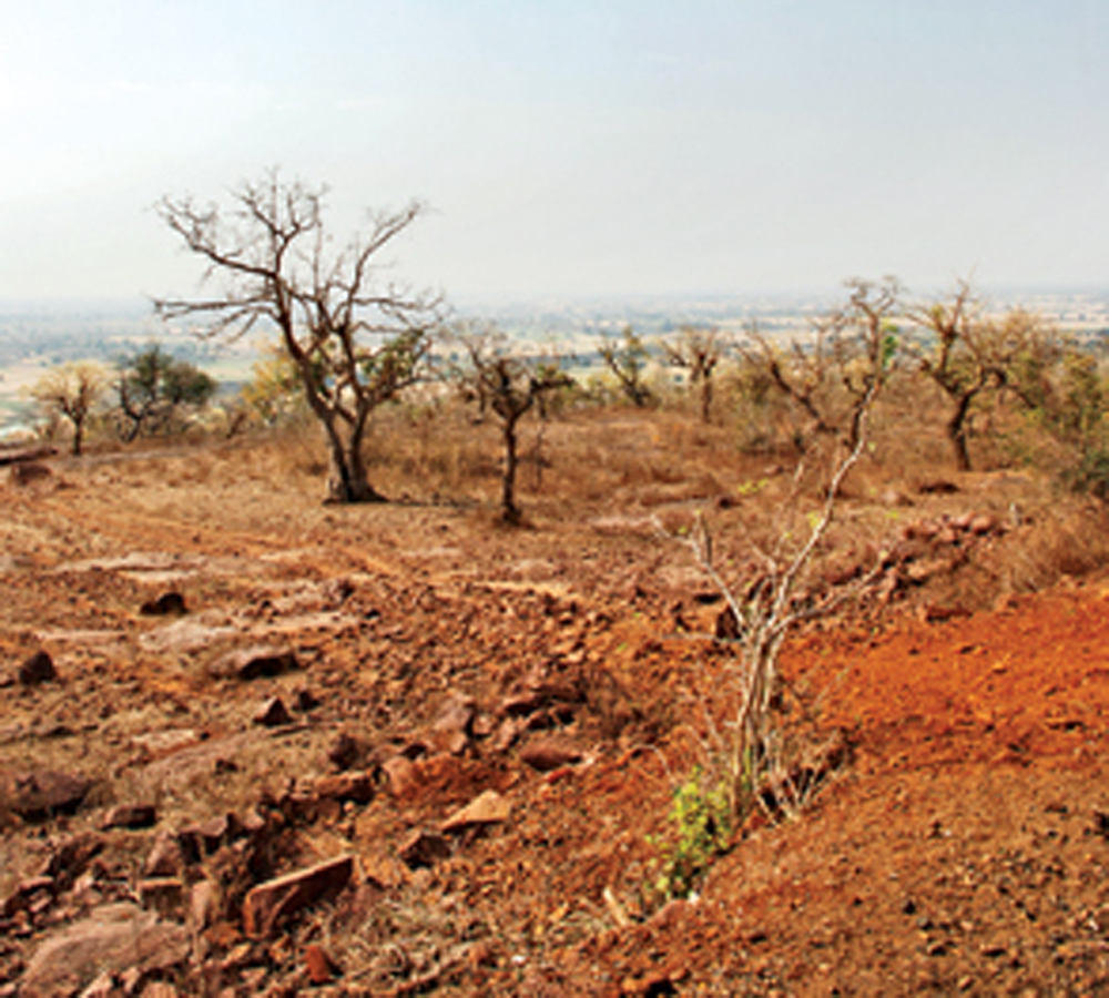 Land Degradation-Environment and Food Security
